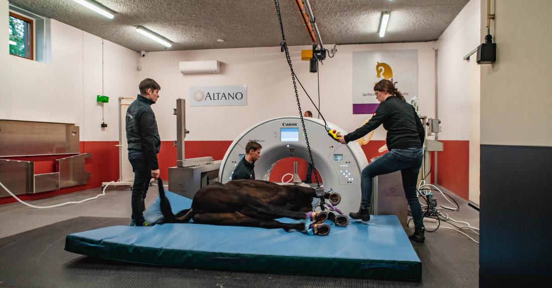 Railtechniek_monorail_horse_health_chainhoist_5